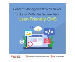 Get Secure & Scalable CMS website development