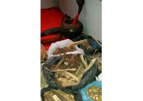 MAMA AFRICA JAJJA THE TRADITIONAL HEALER +27736847115