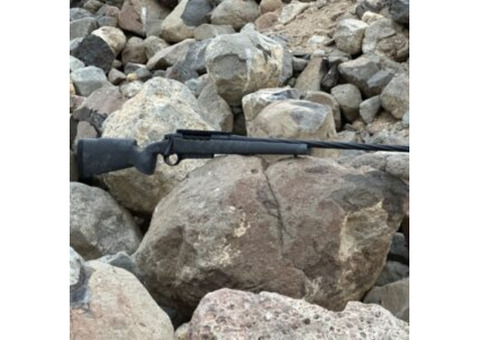Seekins Precision Rifle