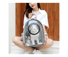 Luxury Cat Space Capsule Transparent Backpack