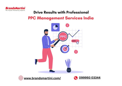 Drive Results with Professional PPC Management Services India