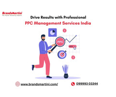 Drive Results with Professional PPC Management Services India