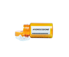 How to Buy Hydrocodone Online in Overnight with PayPal or COD