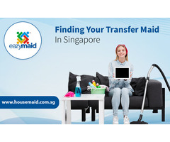 Finding Your Transfer Maid in Singapore