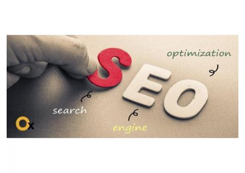 Best SEO Services Company in Delhi | iBrandox™