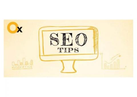 Real Estate SEO Services in Delhi India | SEO Tips by iBrandox™