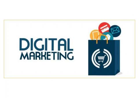 eCommerce Digital Marketing in Delhi NCR | iBrandox™