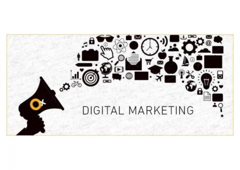 Best Digital Marketing Agency in Delhi - iBrandox™
