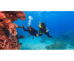 2 Dives Scuba Diving Packages in Havelock Island