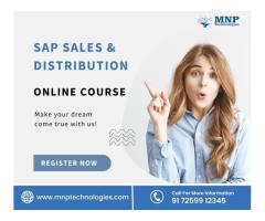 Top SAP SD Course online  Training & Placement