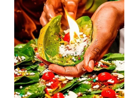Get Best Paan Franchise Model In India