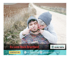 Ex Love Back Brantford