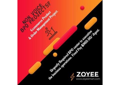 eCommerce campaign available on Zoyeeoutsource