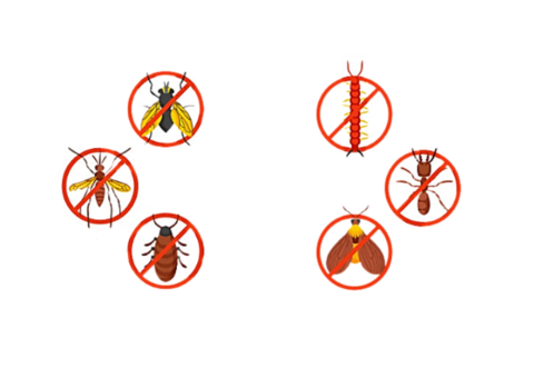 Pest control services delhi | Pest control shahdara