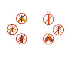 Pest control services delhi | Pest control shahdara