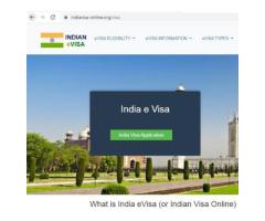 INDIAN EVISA VISA Application ONLINE JAPAN IMMIGRATION インドビザ申請入国管理センター