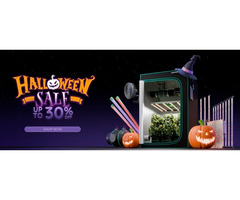 Spooktacular Halloween Sale!