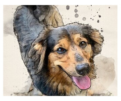 Unique Dog Portraits by a Talented Portrait Artist