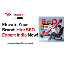 Elevate Your Brand: Hire SEO Expert India Now!