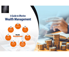 Mastering Wealth Management: Strategies for Financial Success