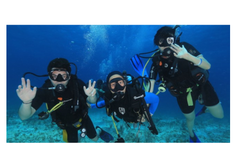 Open Water Diver Course In Cancun