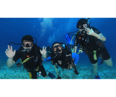 Open Water Diver Course In Cancun