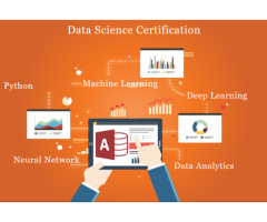 Best Data Science Courses in Python, R, SQL, and more