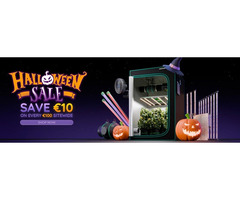 Halloween-Special bei Mars Hydro EU!