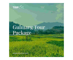 gulmarg kashmir tour package