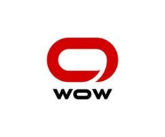 Enhance Your Brand Presence with WowStudio.io