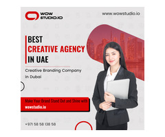 Enhance Your Brand Presence with WowStudio.io