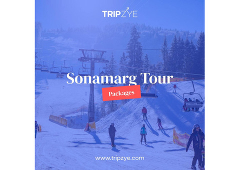 sonmarg tour packages