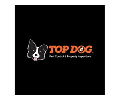 Top Dog Pest Control