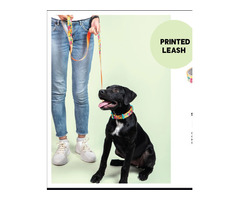 Buy Pet Dog Printed Belt Online