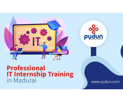 Professional IT Internship Training in Madurai