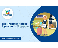 Top Transfer Helper Agencies in Singapore