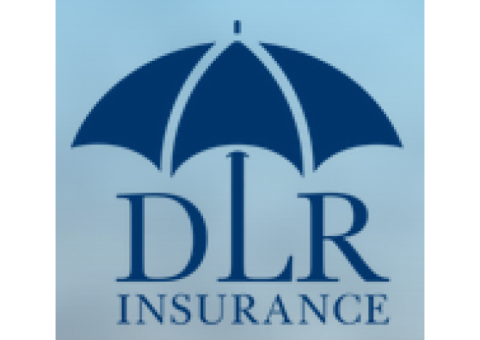 Home Insurance Agency Florida - DLR Insurance