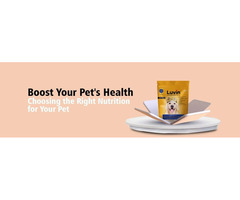 Buy Dog Protein Bar Online