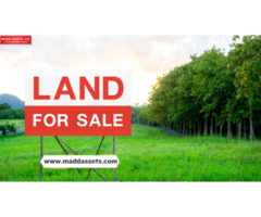 Sunshine State Land for Sale in Florida