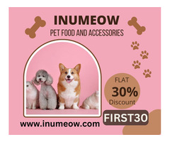 Buy Best Pet Accessories Online