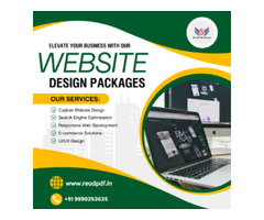 Web Design Packages with Technical Excellence