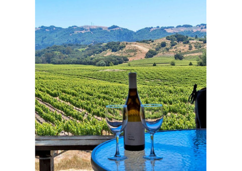 Best Wineries in Texas