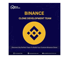 Top Binance clone development Company in India -  Block Sentinels