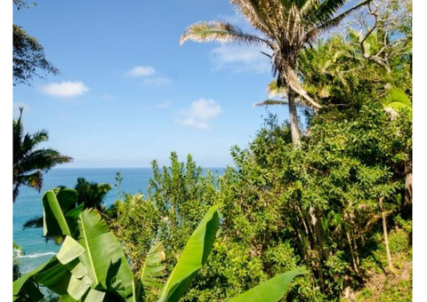 Land for Sale in San Pancho