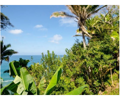 Land for Sale in San Pancho