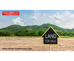 Premium Land for Sale in Florida