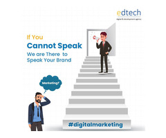 Professional digital marketing agency in Delhi