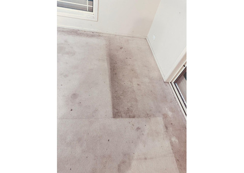 Carpet Dry Cleaning Adelaide