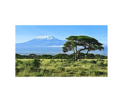 Amboseli Affordable Safari