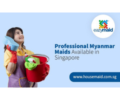 Professional Myanmar Maids Available in Singapore